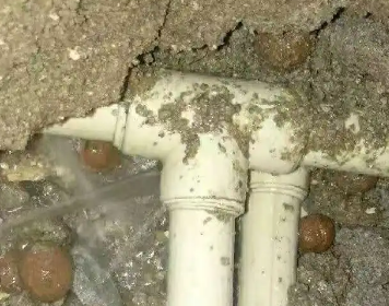 临安测漏水多少钱