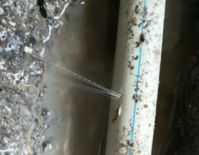 临安测漏水哪家好