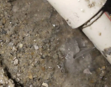 临安测漏水电话号码