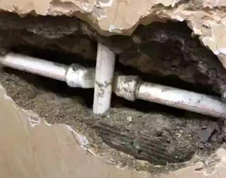 临安测漏水哪家好