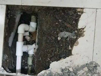 临安测漏水哪家好