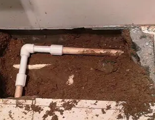 临安测漏水哪家好