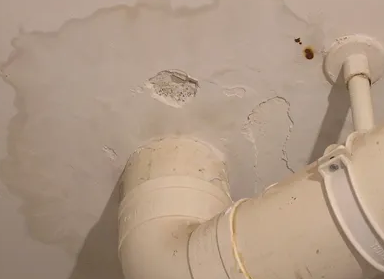 临安卫生间测漏水多少钱