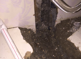 临安卫生间测漏水哪家好