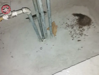 临安卫生间测漏水价格明细