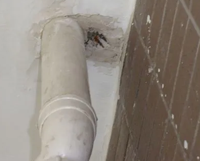 临安漏水检测哪家好